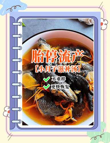 月子喝鹌鹑汤好吗-第1张图片
