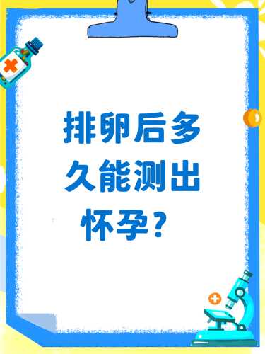 怀孕时还能排卵吗-第1张图片
