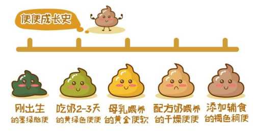 吃辅食后大便有啥变化吗-第1张图片