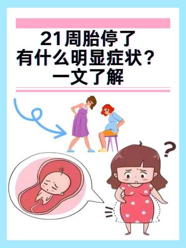 胎停后女方如何备孕呢-第1张图片