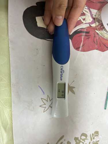 备孕女子梦见两只老虎有何寓意-第1张图片
