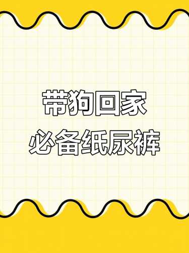 狗狗出门用尿不湿可行吗-第1张图片