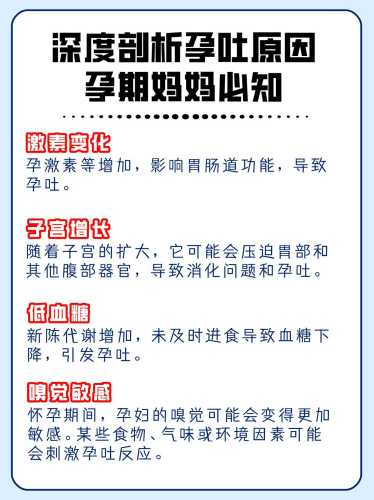 孕反老是吐了是怎么回事-第1张图片