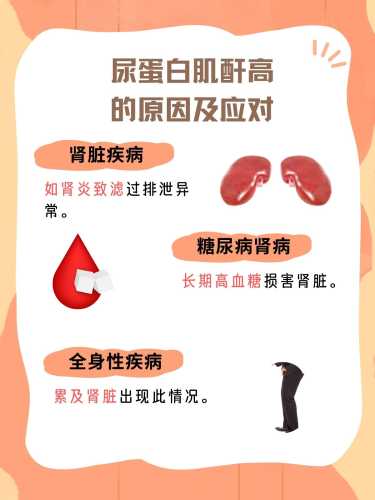 产后出现尿蛋白是怎么回事-第1张图片