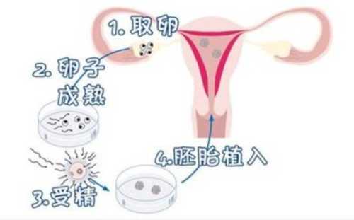 弱精能怀孕吗-第1张图片