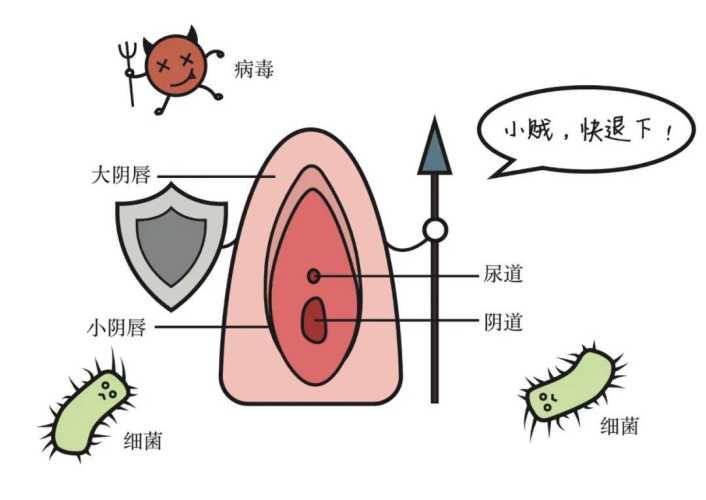 产后易患哪些妇科病-第1张图片