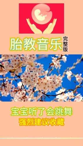 音乐胎教方案名字该怎么起-第1张图片