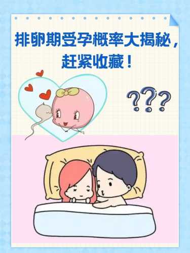 意外怀孕与备孕区别大吗-第1张图片