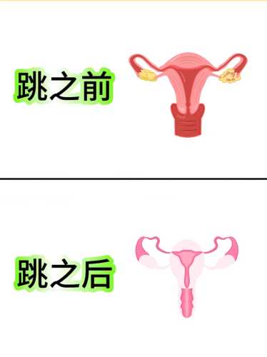 备孕时同房后可以跳绳吗-第1张图片