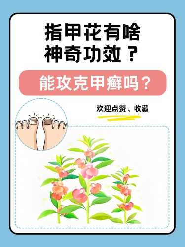 怀孕能包指甲花吗-第1张图片