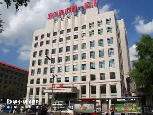 哈尔滨哪家试管婴儿医院好-第1张图片
