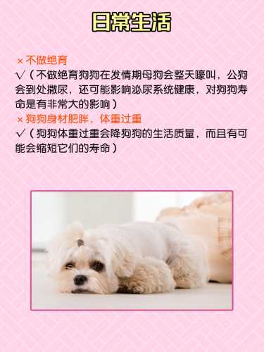 狗会伤害婴儿吗-第1张图片