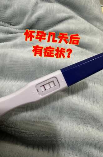 停经5天能测出怀孕吗-第1张图片