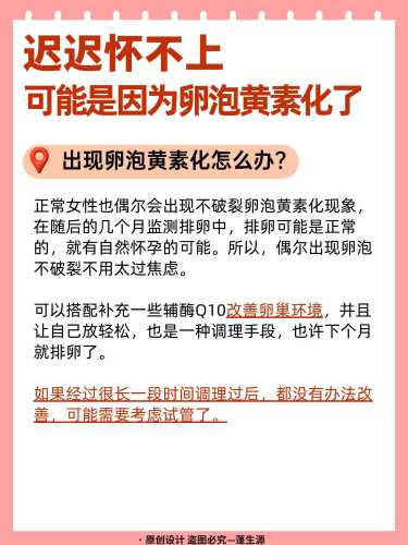 卵泡16排了能怀孕吗-第1张图片