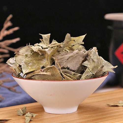 备孕可以喝老鼠刺茶吗-第1张图片