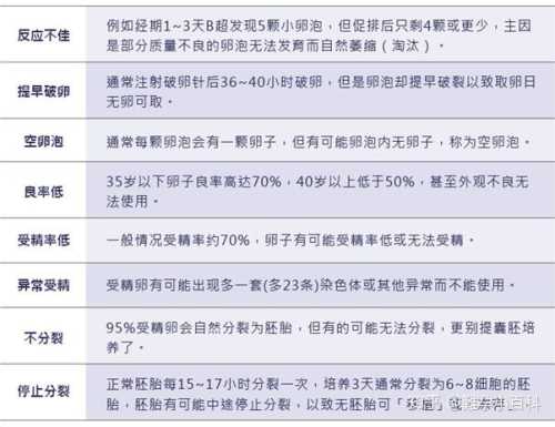 试管婴儿医生如何助我好孕-第1张图片