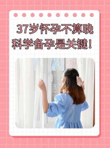 刚怀孕的女人如何备孕-第1张图片
