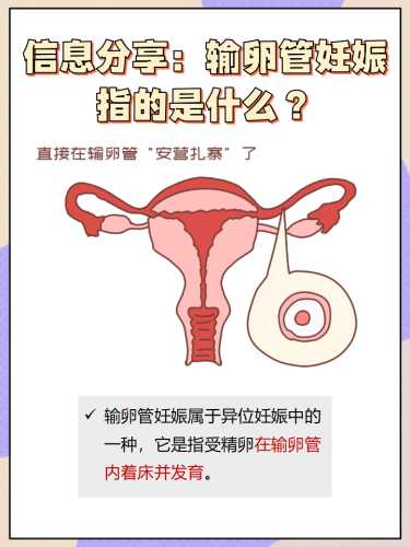 备孕检查输卵管还有什么-第1张图片