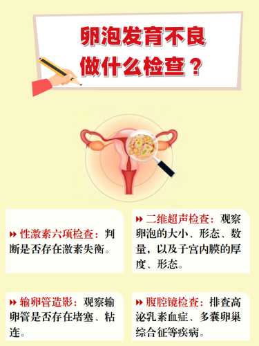 黄体生成素偏高备孕不孕怎么办-第1张图片