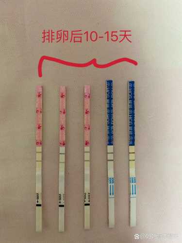中午验尿能测出怀孕吗-第1张图片