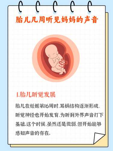 胎教计划海报图片怎么选-第1张图片