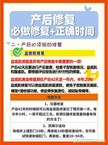 产后如何缩耻骨-第1张图片