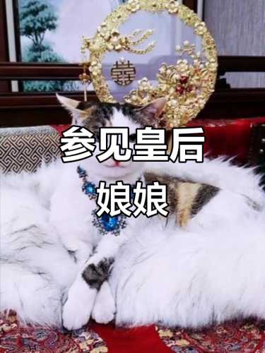 皇后娘娘是婴儿吗-第1张图片
