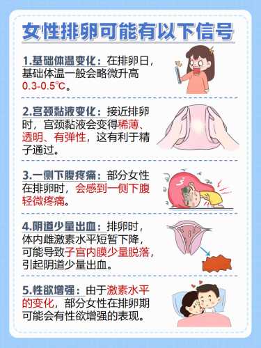 月经过后几天易怀孕-第1张图片