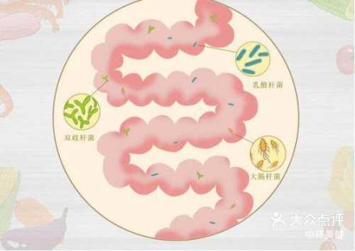 剖腹产后老是拉肚子是咋回事-第1张图片