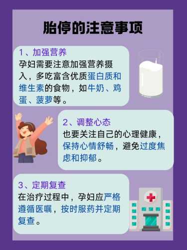 几周孕反会彻底消失呢-第1张图片