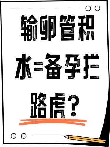 备孕三年没动静是咋回事-第1张图片