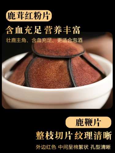 备孕能吃鹿茸肉苁蓉吗-第1张图片