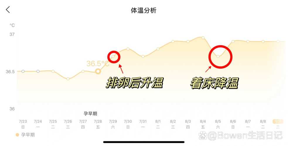 备孕测体温表格如何免费下载-第1张图片