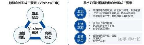产后死亡原因有哪些-第1张图片