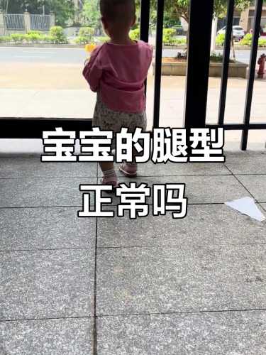 婴儿什么时候能走路-第1张图片