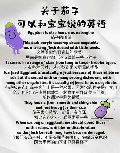 婴儿的英文怎么说-第1张图片