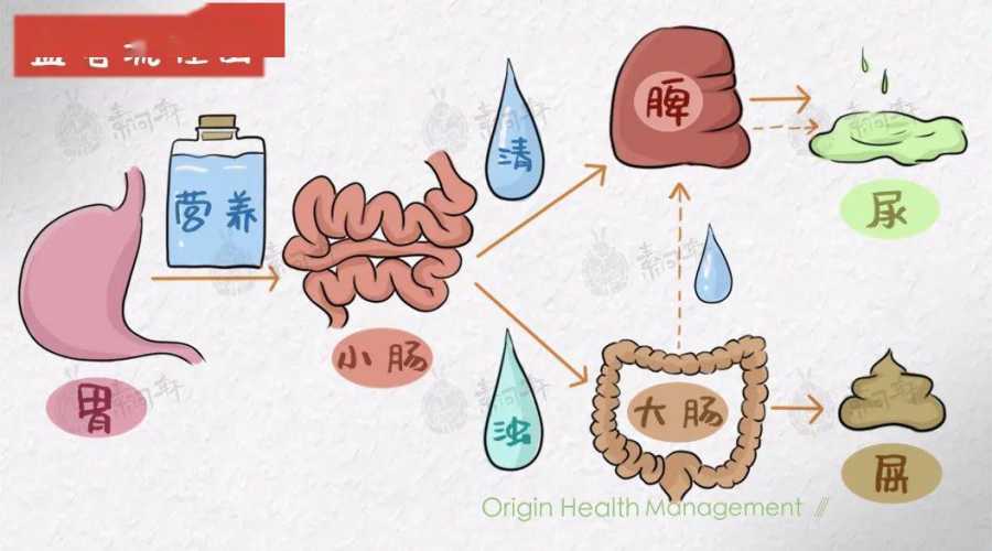 流产后大便干怎么办-第1张图片