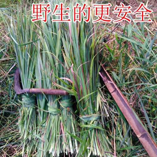 坐月子多久可以洗澡-第1张图片
