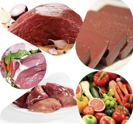 男人备孕能吃巴浪鱼吗-第1张图片