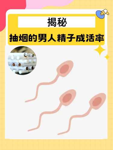 备孕时男生抽烟会有影响吗-第1张图片