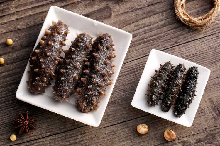 备孕可以吃排油糖吗-第1张图片