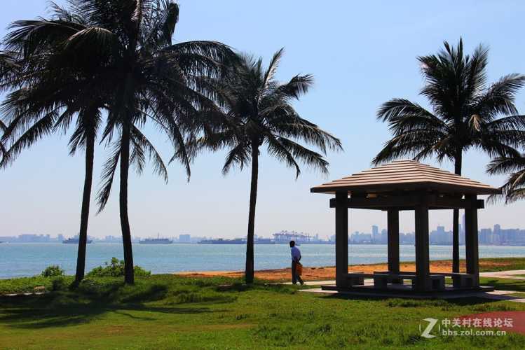 假日海滩胎教音乐视频有啥-第1张图片