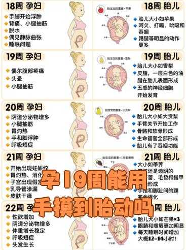 孕18周孕反只是减轻正常吗-第1张图片