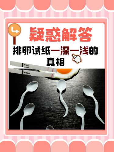 备孕每天要用试纸吗-第1张图片