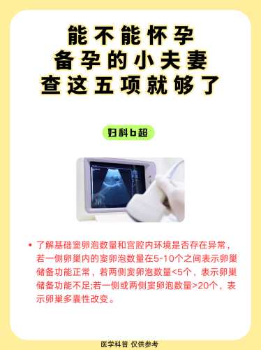 备孕男需检查哪些项目-第1张图片