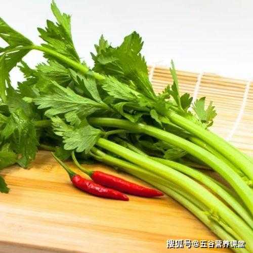 备孕女人能吃芹菜吗-第1张图片