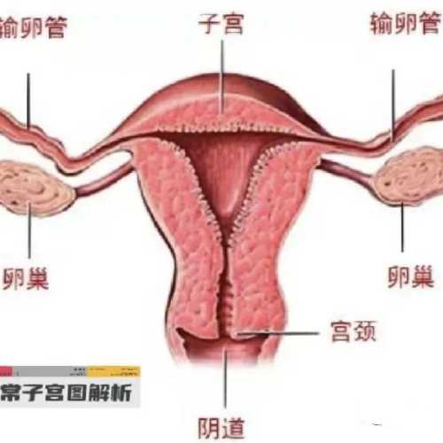 备孕人梦到老公是别人咋回事-第1张图片