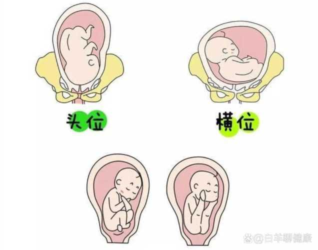 小婴儿为啥会打嗝-第1张图片