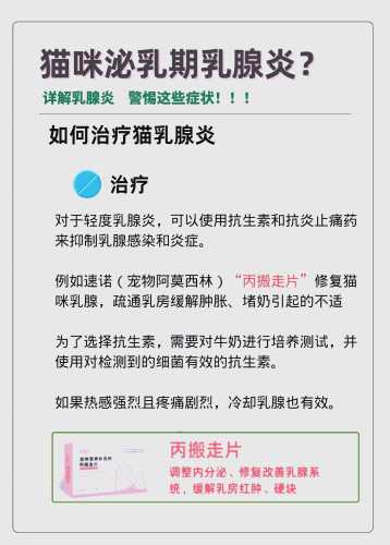 母猫产后化脓怎么办-第1张图片