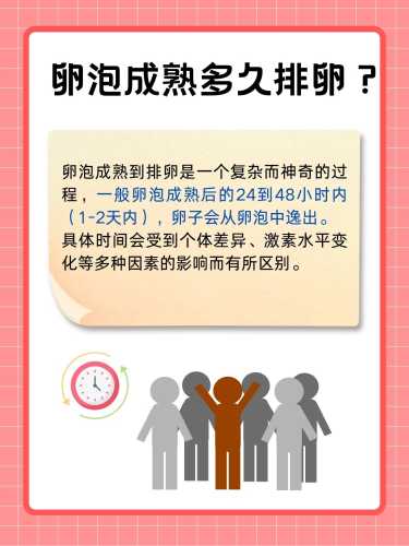 促卵泡低于促黄体备孕怎么办-第1张图片